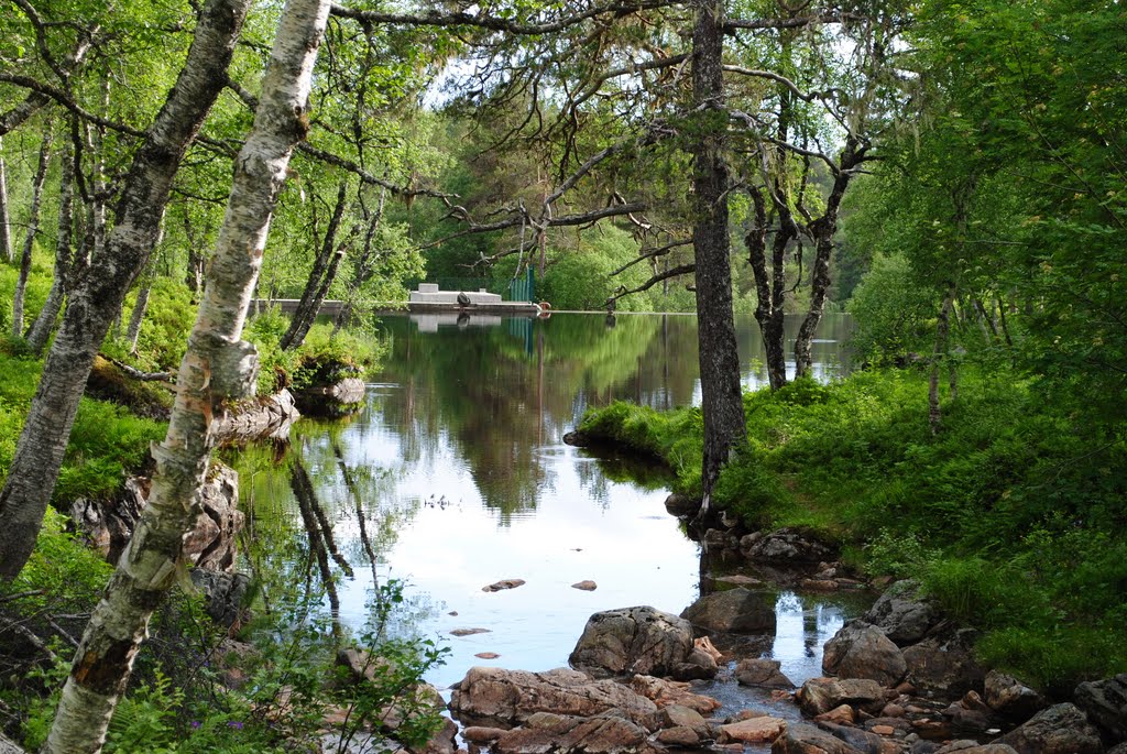Fjellbrua, Molde
