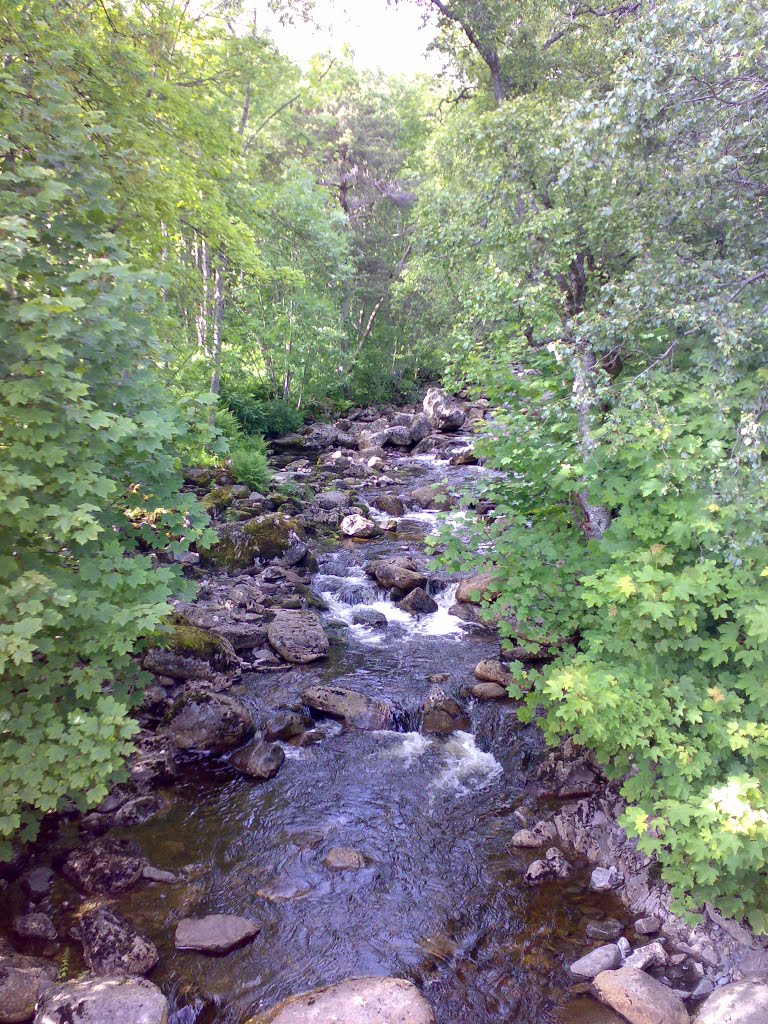 molde