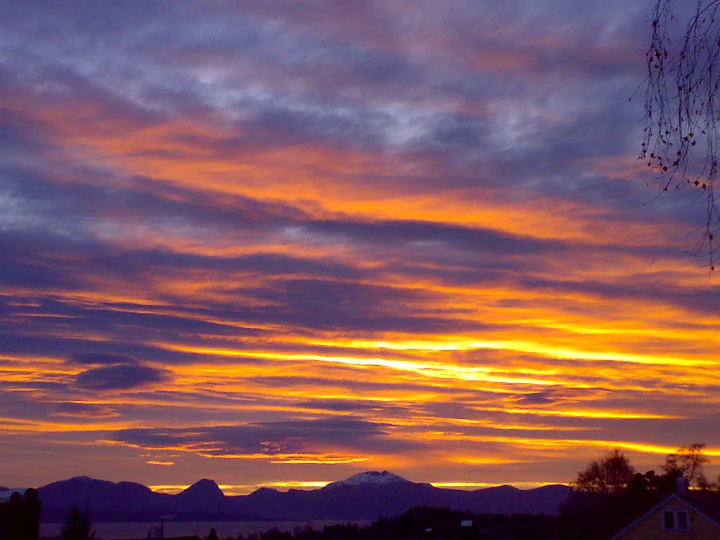 molde