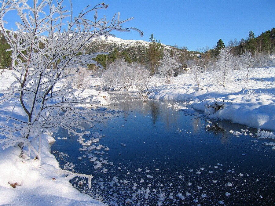 Vinter i Moldemarka.