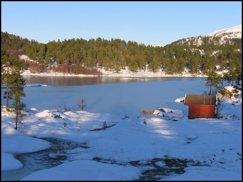 Den første sneen . Norway.