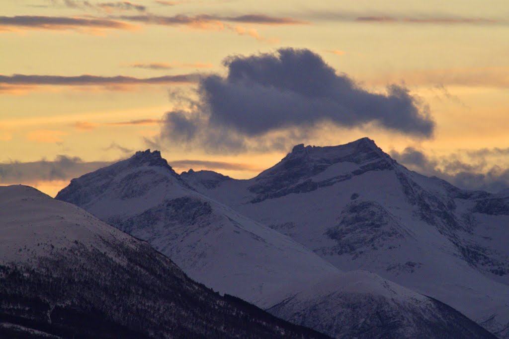 Winter light