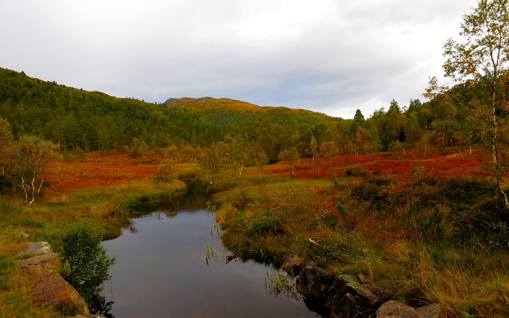 Moldedalen