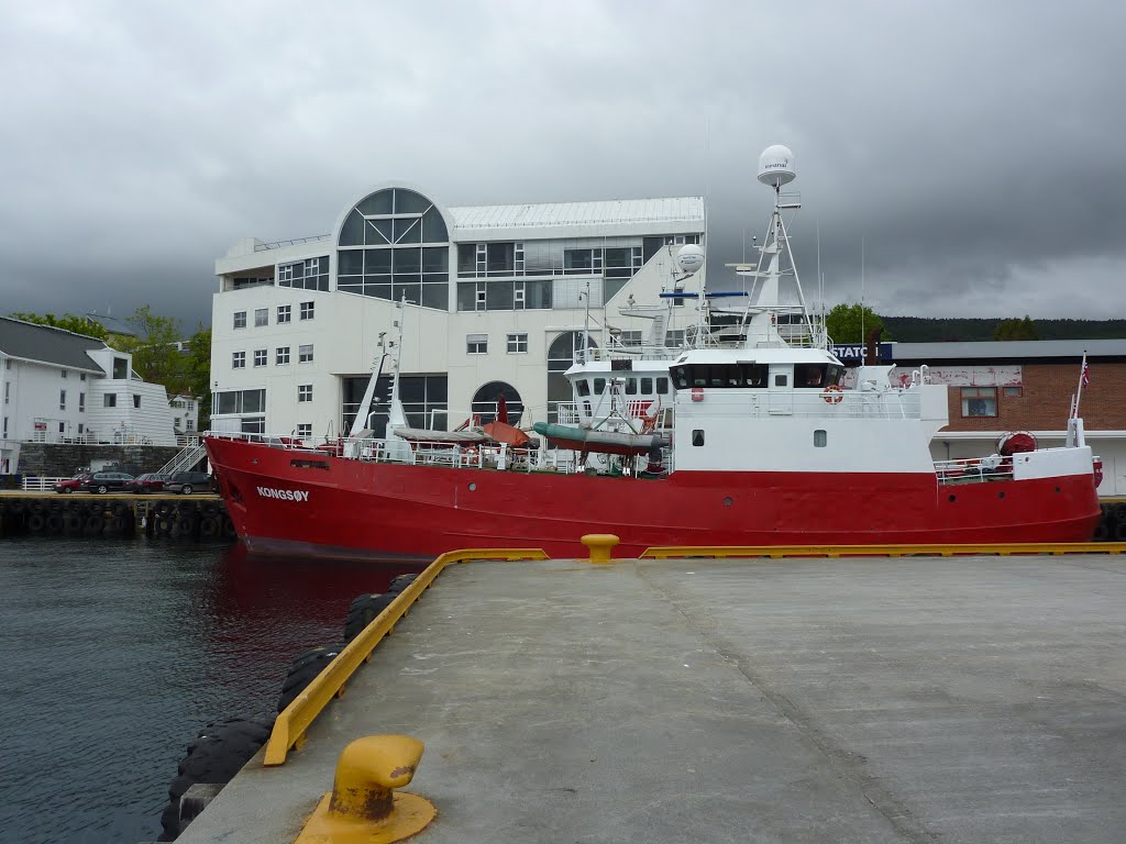 Molde