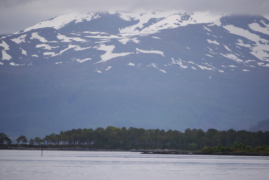 Molde