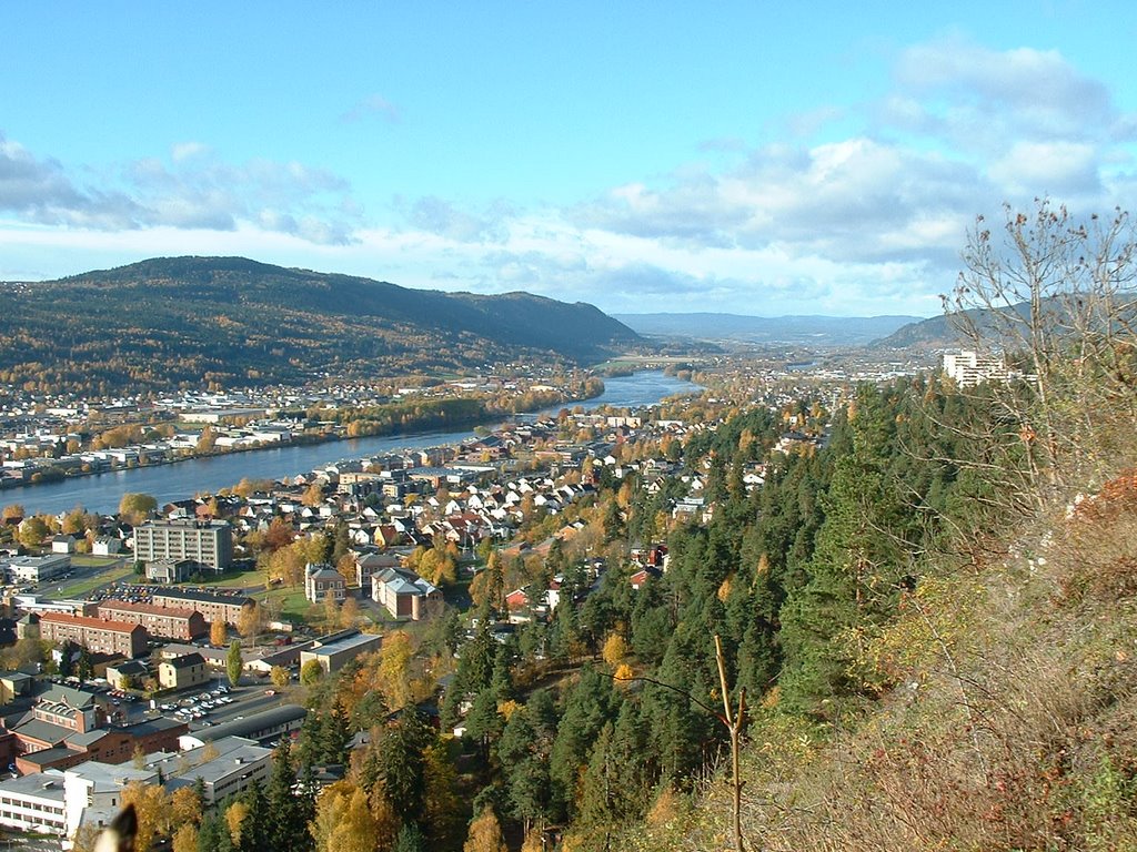 Drammenselva
