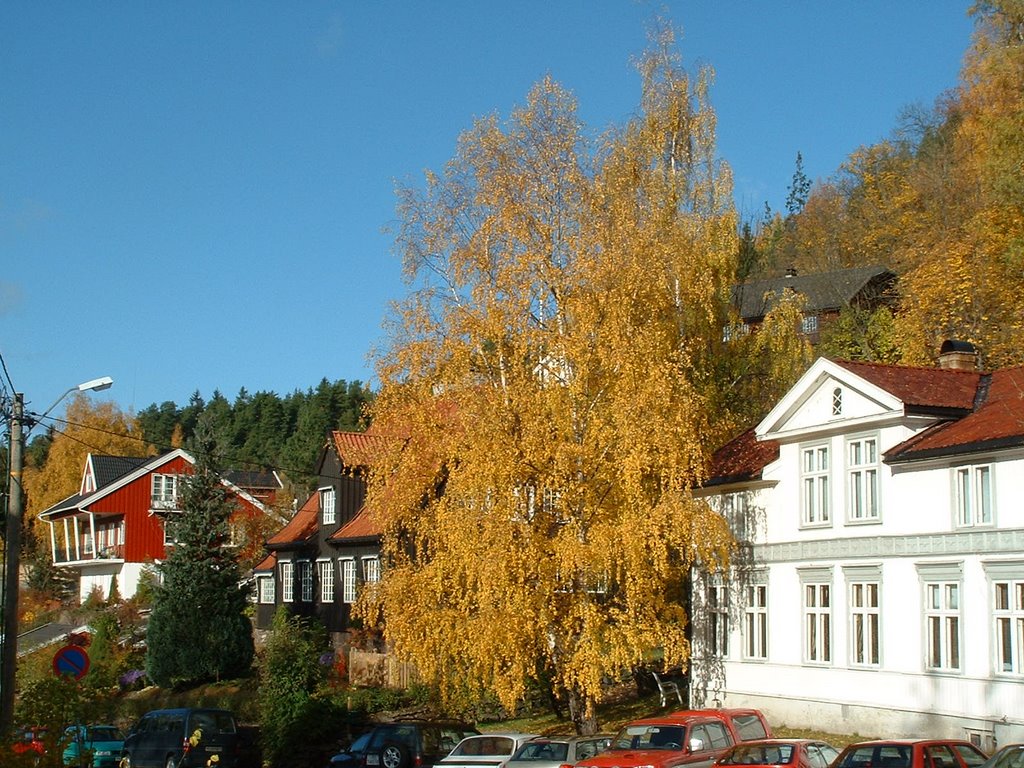 Ved Bergstien