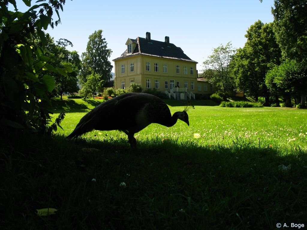 At Gulskogen Manor