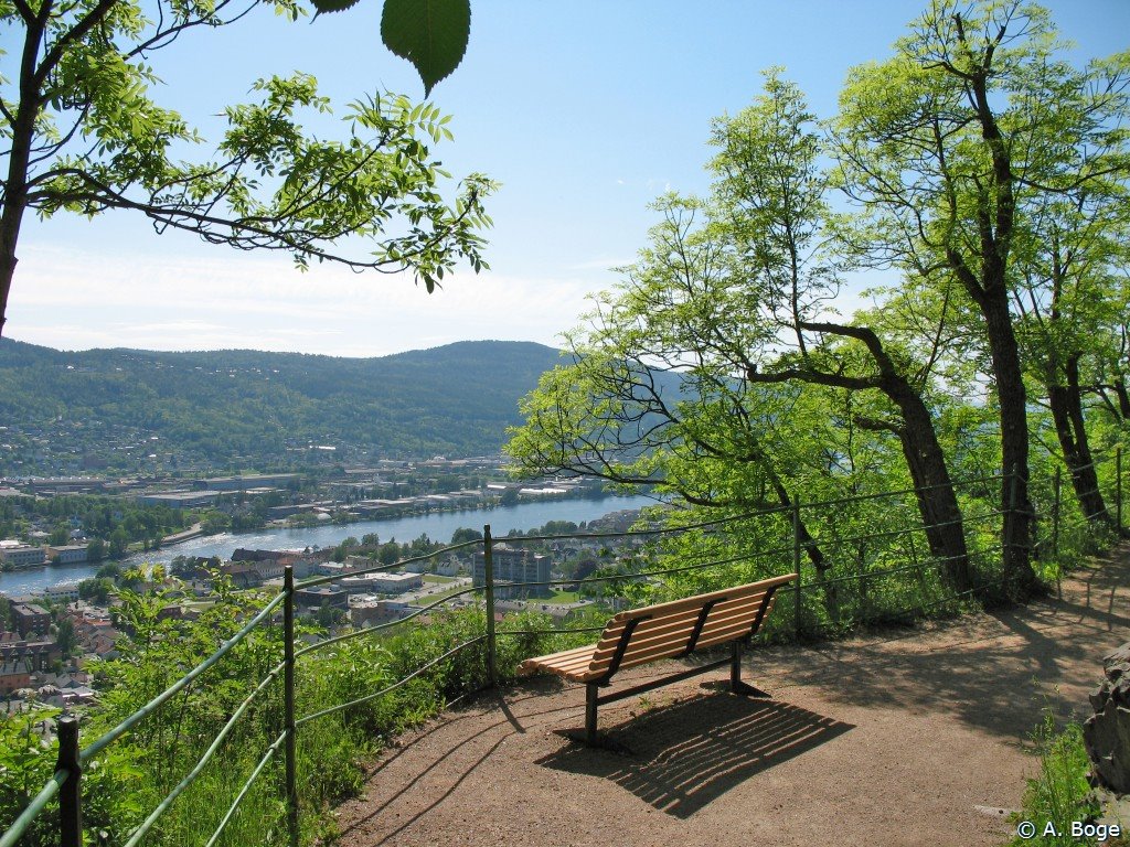 View from Bragernesåsen