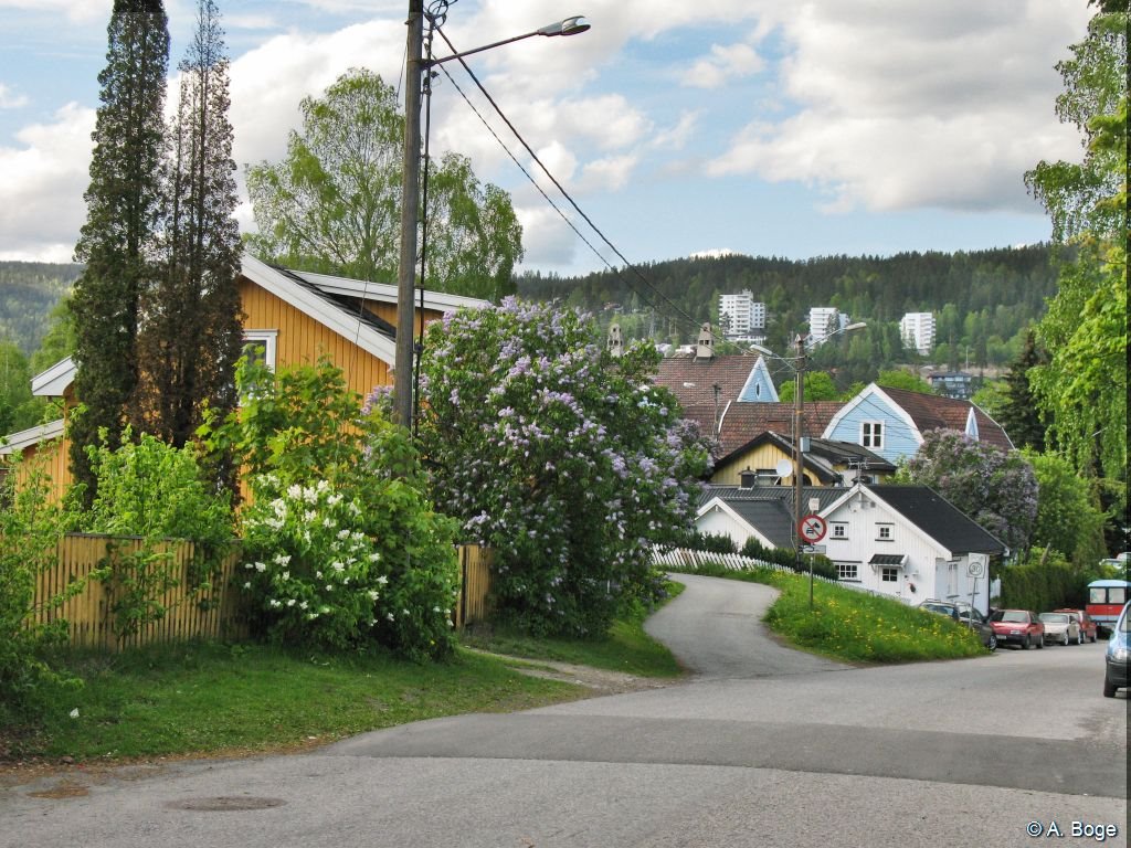 Sundhaugen_6461