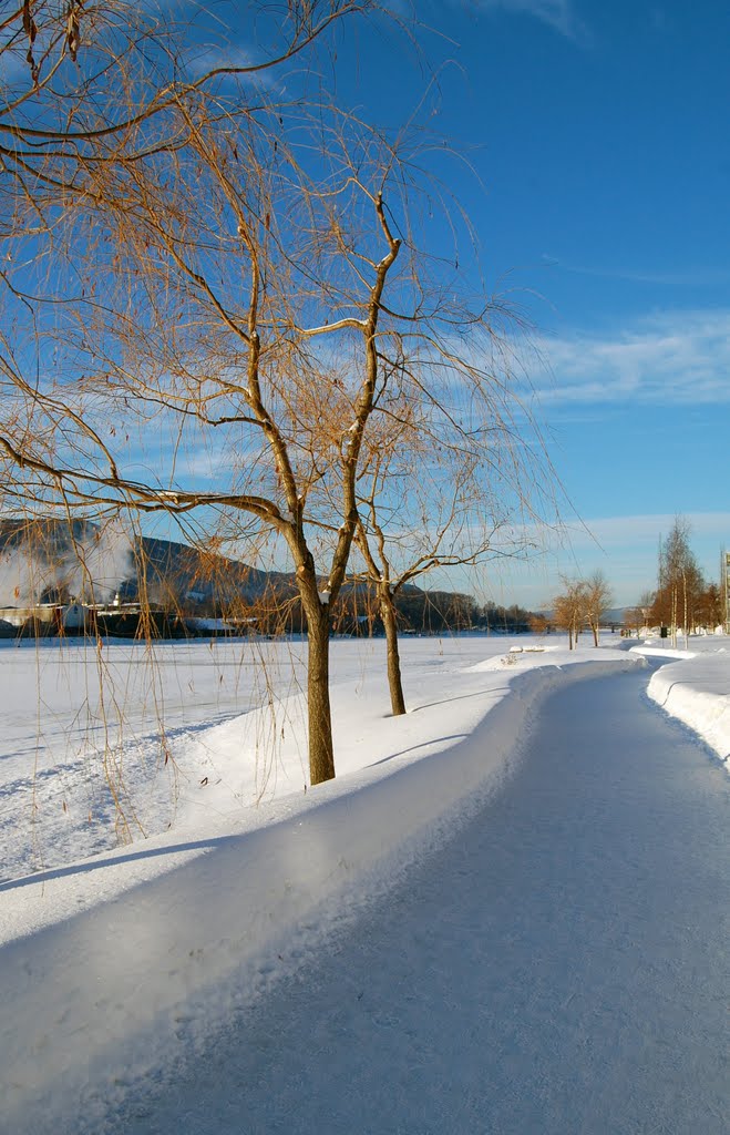 A riverside walk in winter.