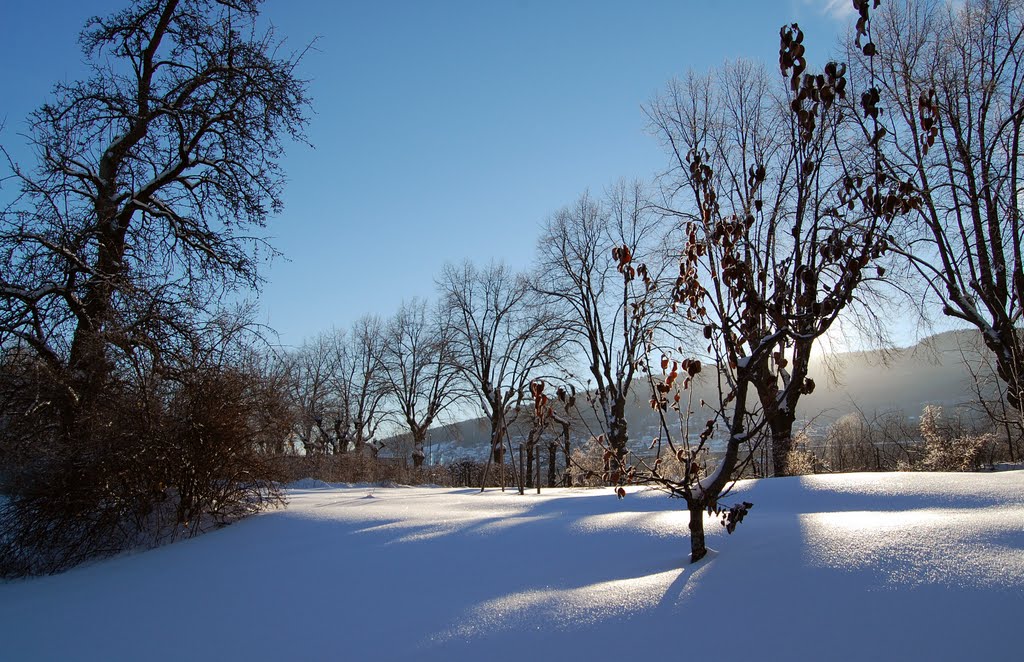 Mid-day sun at Gulskogen Gård
