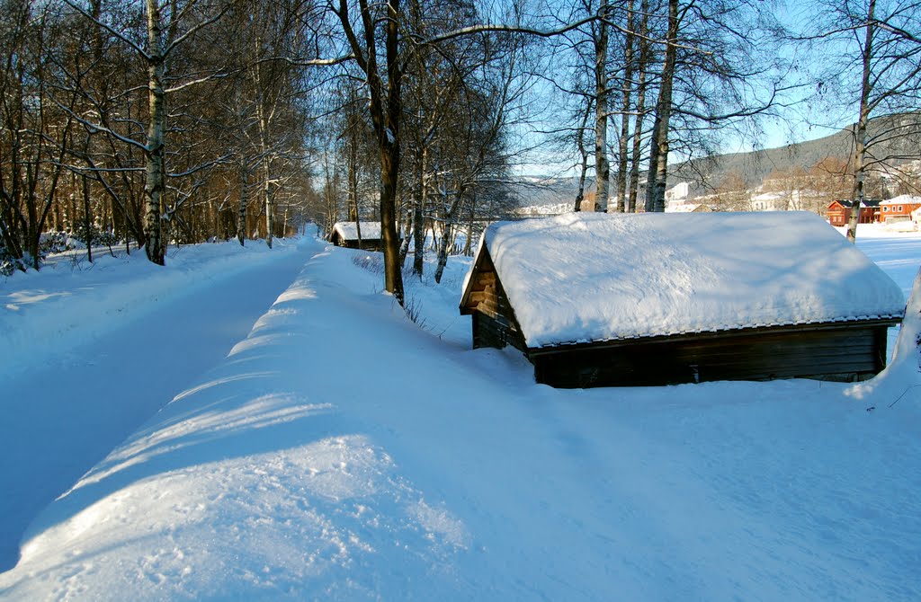 The South Bank of frozen Drammenselva