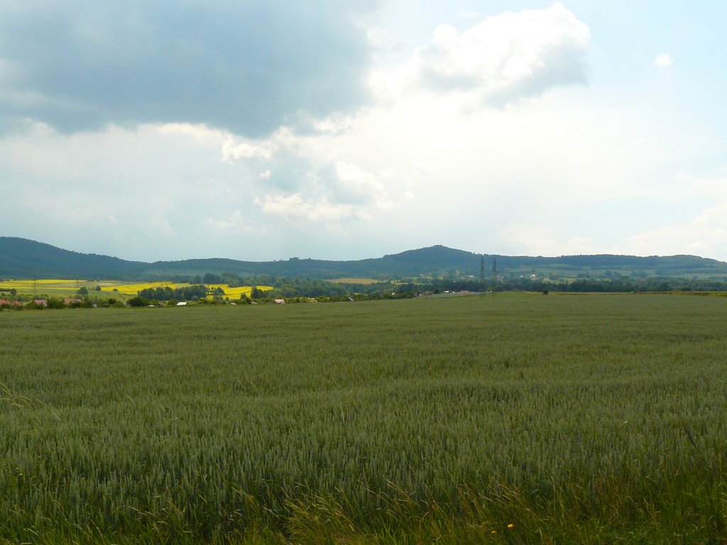 Jasna Góra z Bogatyni