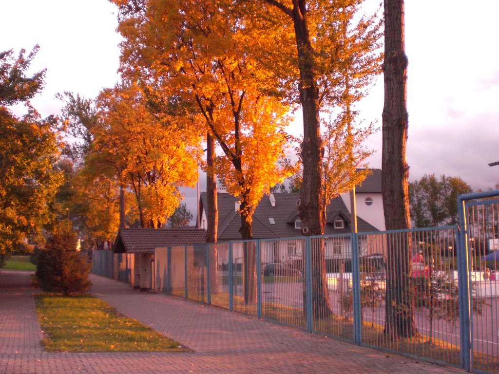 Bogatynia, Stadion przy ul. Białogórskiej