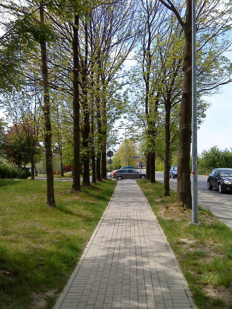 wiosna2