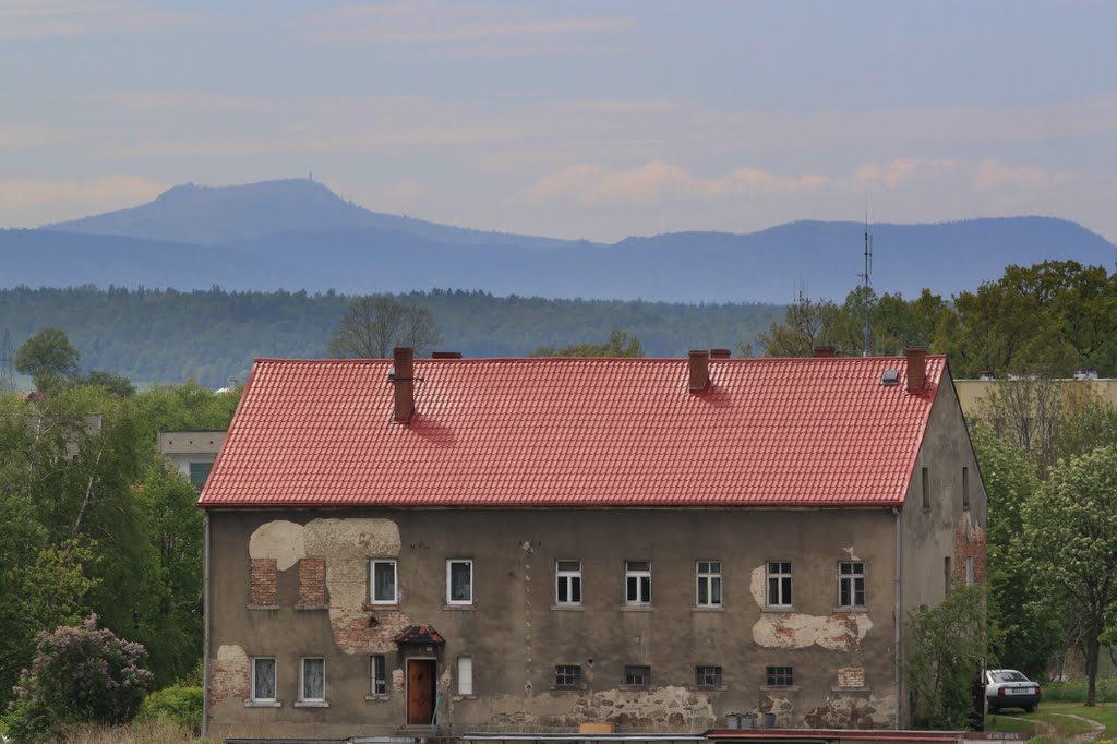 Bogatynia