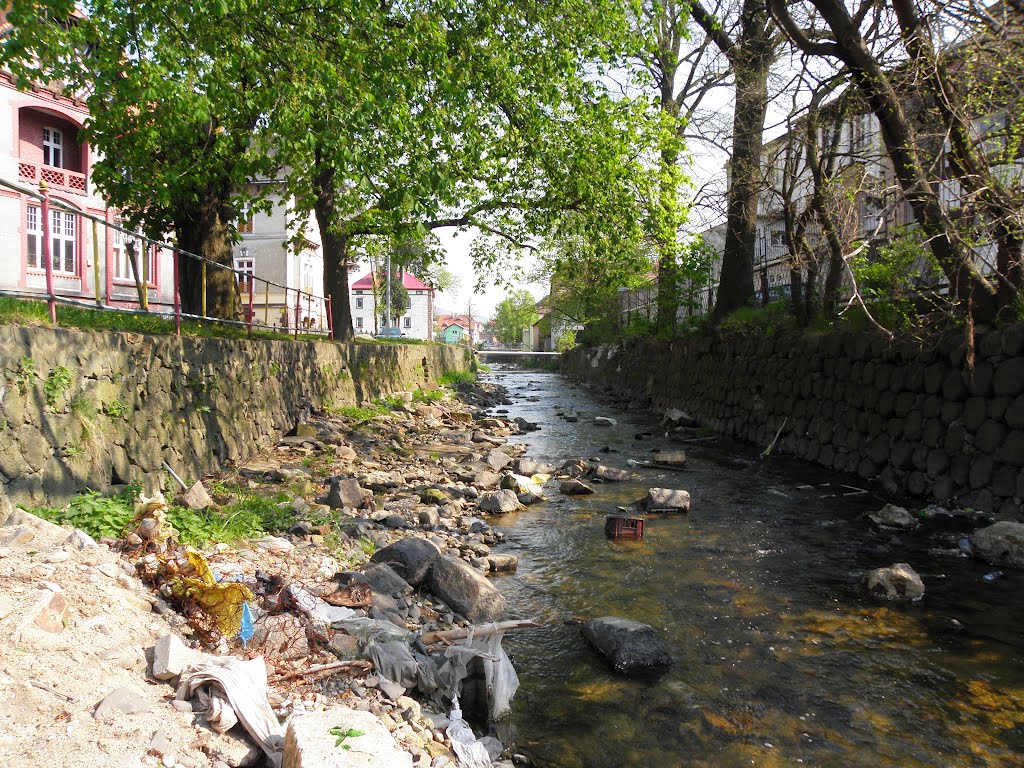 The riverbed is still full of rubble and dirt - when high water comes this wont help it flow through quickly