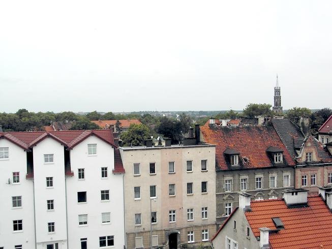 Wybickiego
