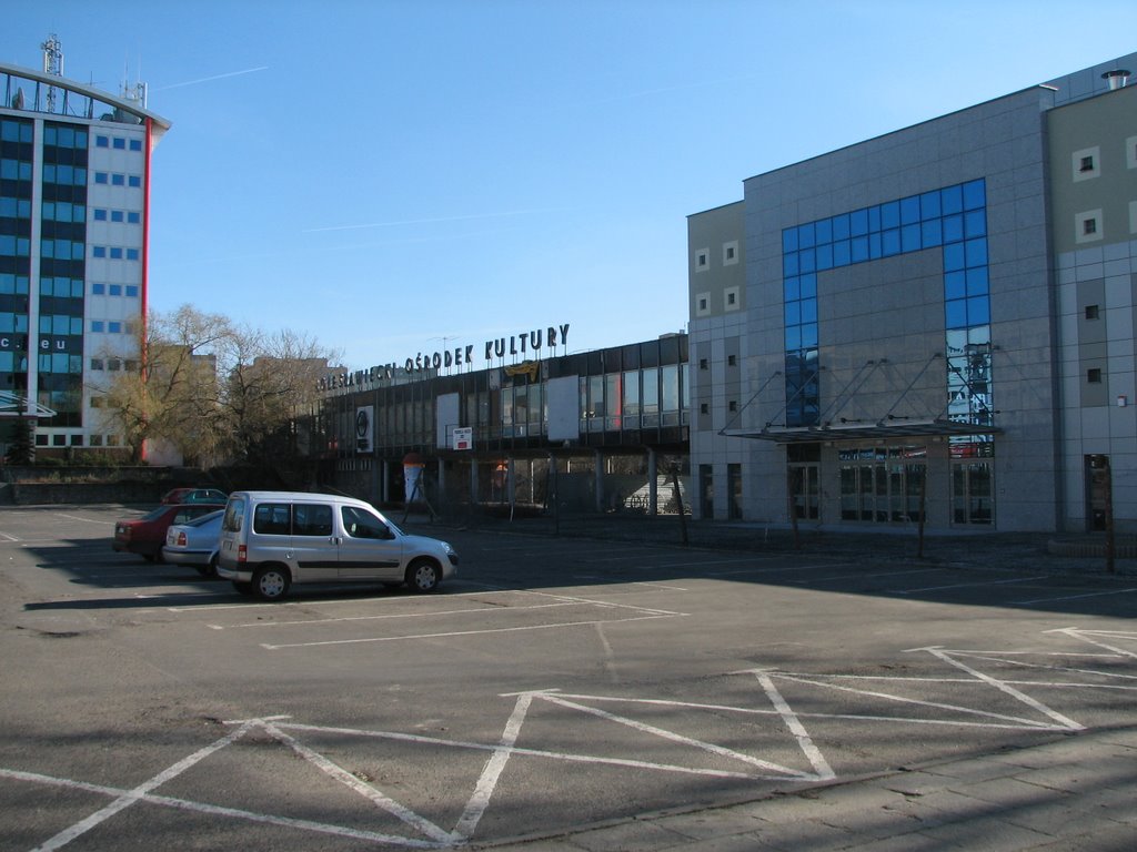 kino forum