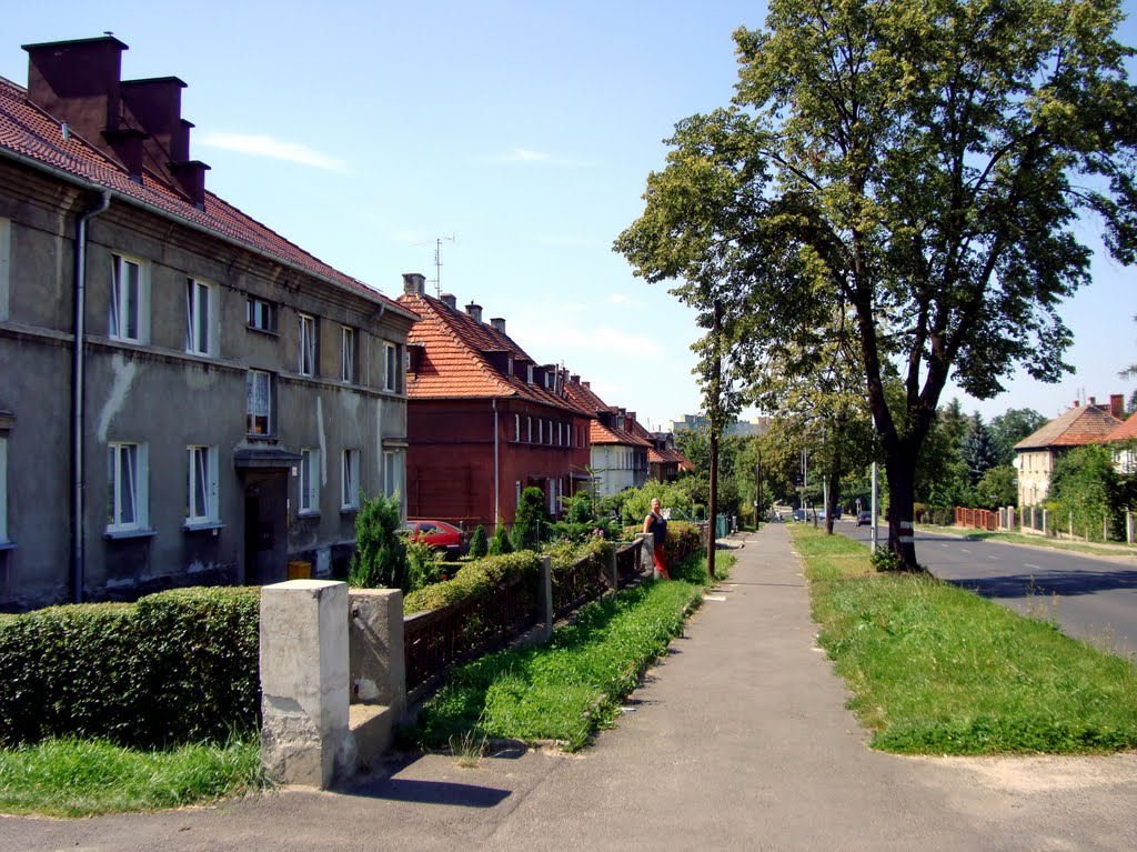 Bolesławiec_08.2009