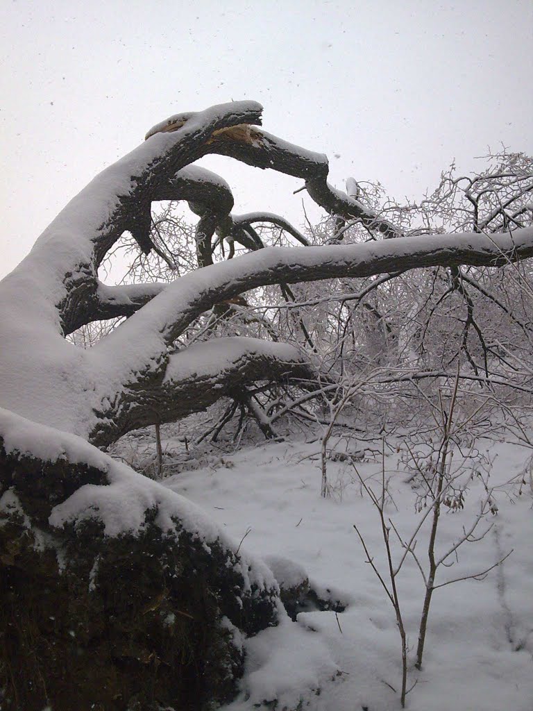 na granicy... on the border...