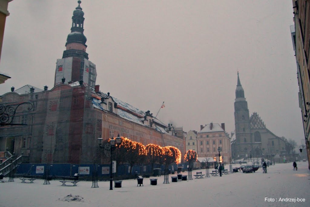 Bolesławiec Śląski
