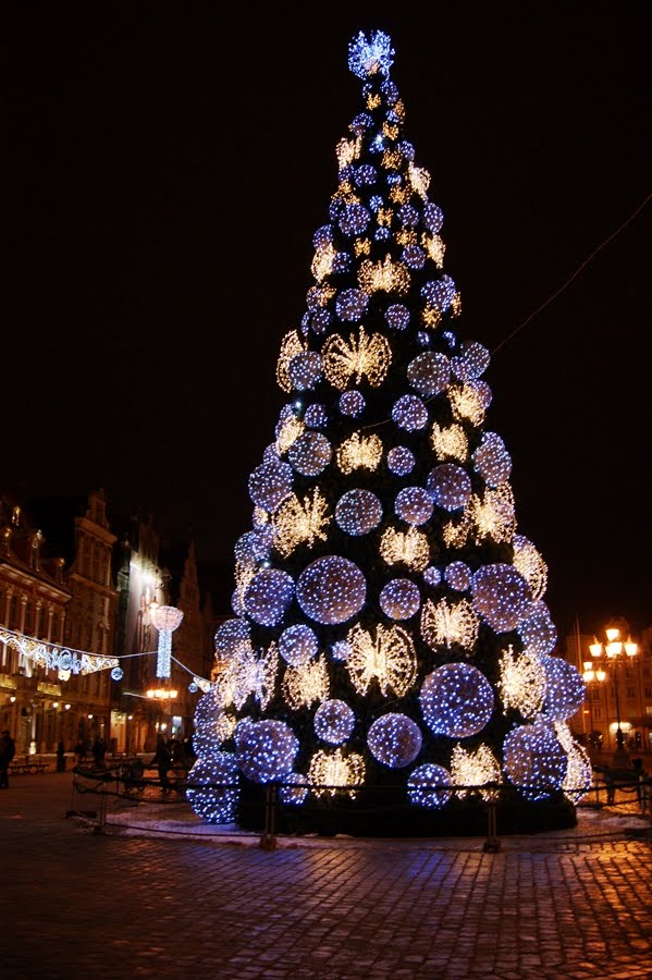SZCZĘŚLIWEGO NOWEGO ROKU 2011                                                HAPPY NEW YEAR 2011