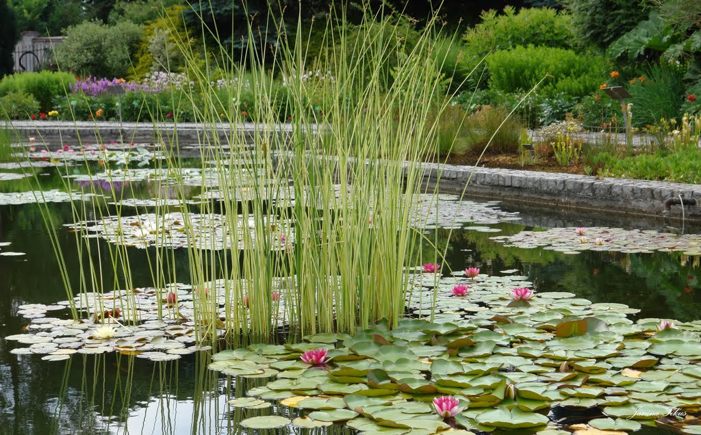 Still a little summer.   Botanical Garden of Wrocław University