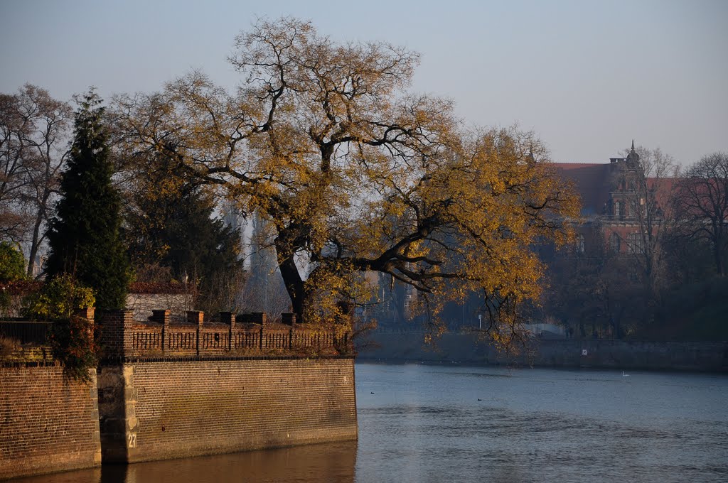 Ostrów Tumski w tle Muzeum Narodowe