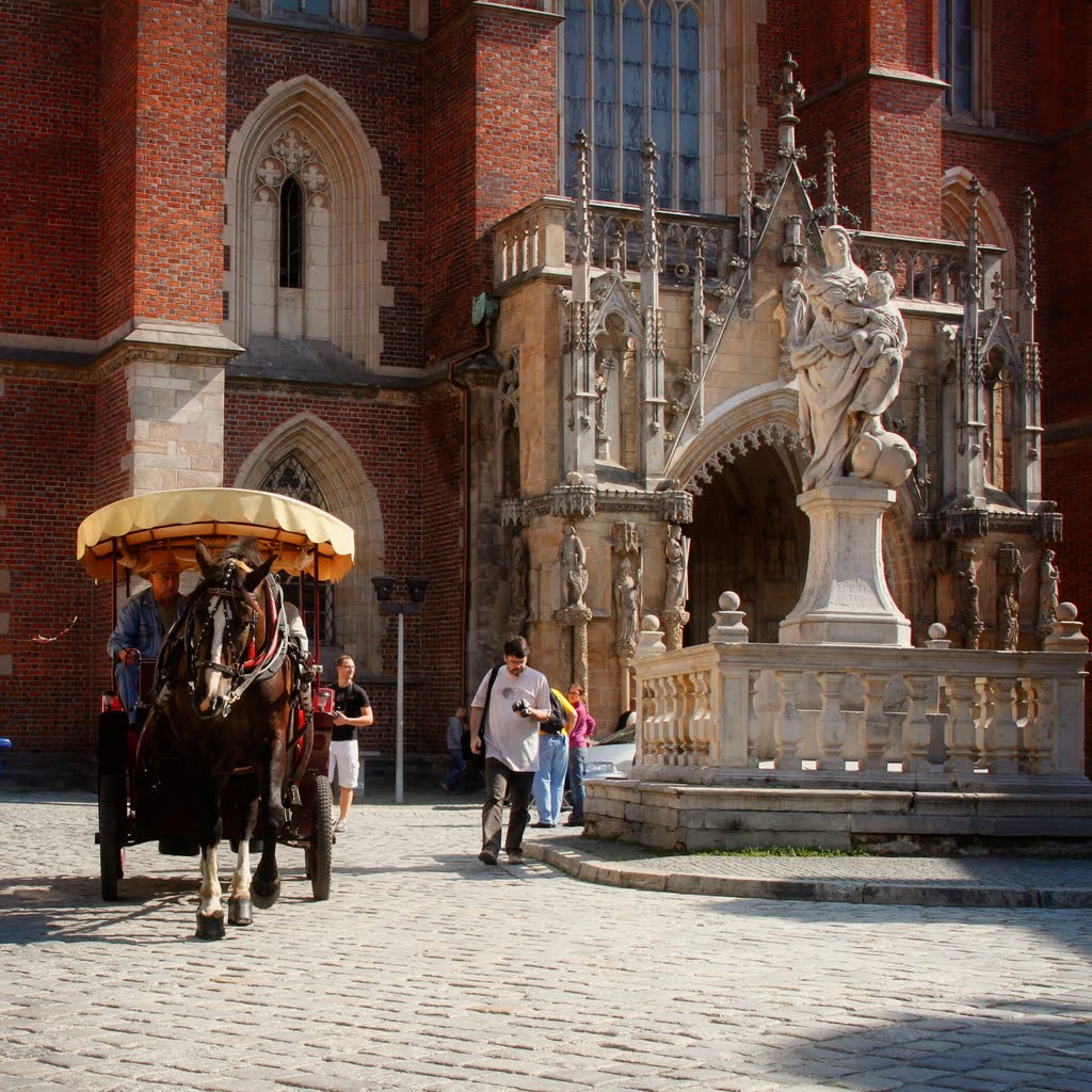 Wrocław, Archikatedra