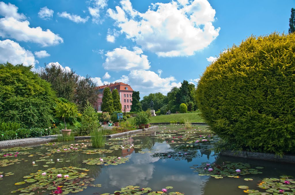 Wrocławski Ogród Botaniczny - lato 2013r.