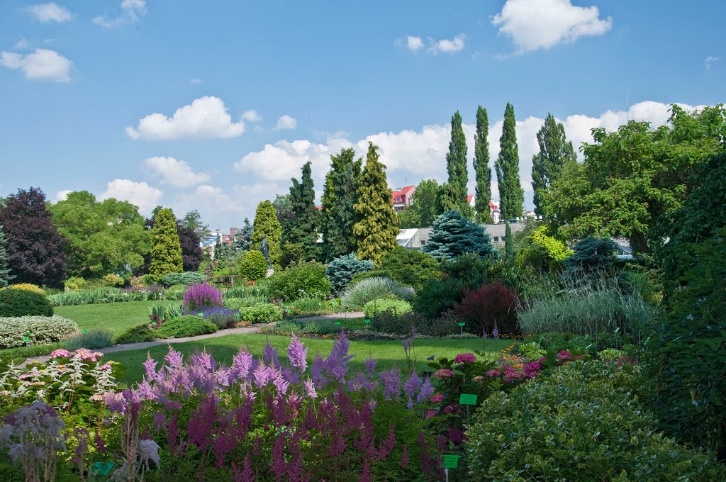 Wrocławski Ogród Botaniczny - lato 2013r.