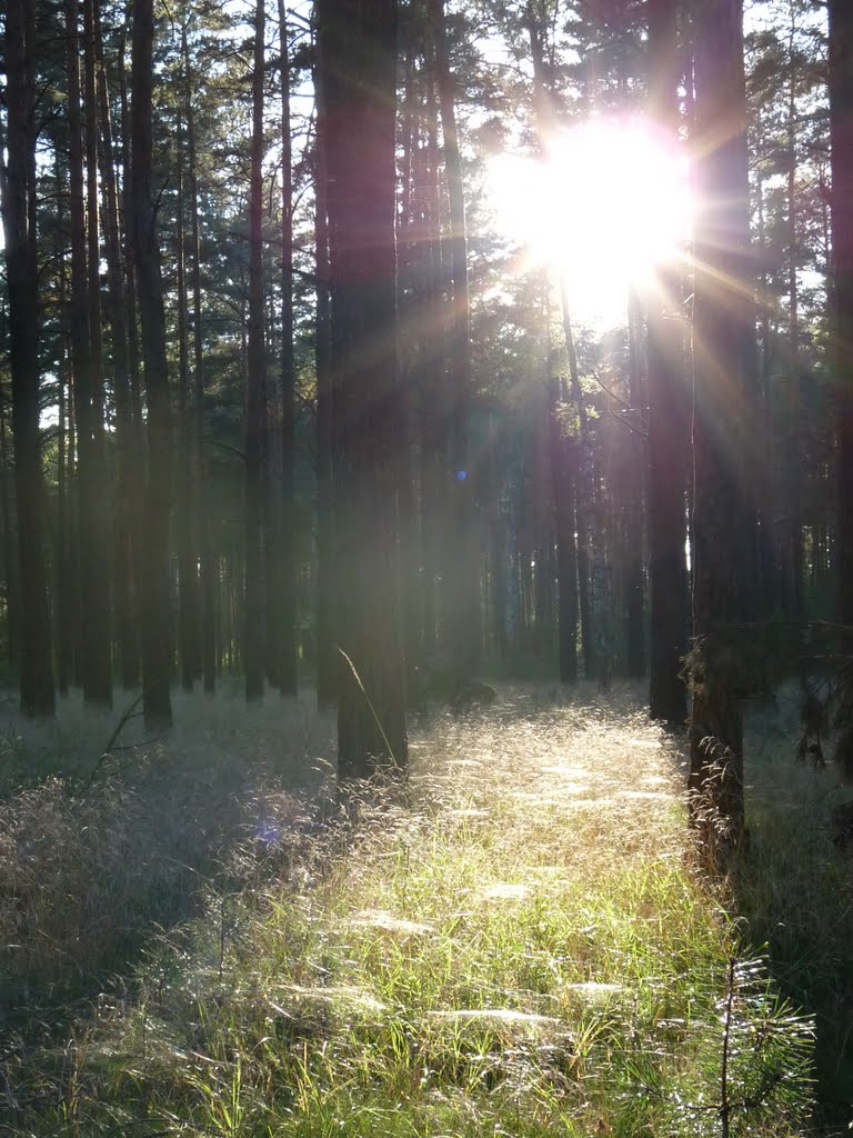 Końcówka lata