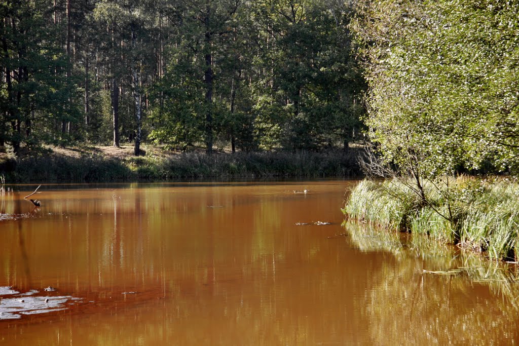 Pierwszy dzień jesieni nad Zalewem Klików