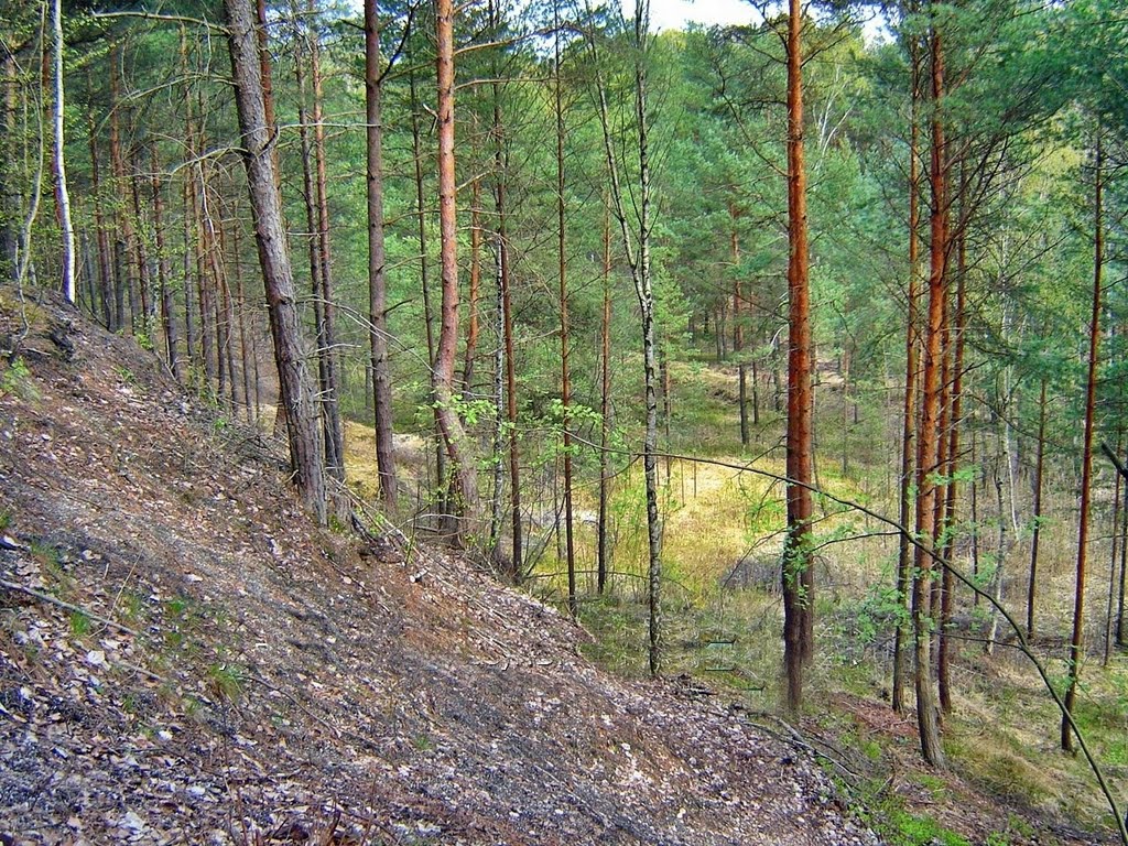 Teren byłej kopalni gliny czynnej do lat 50 -tych XX wieku