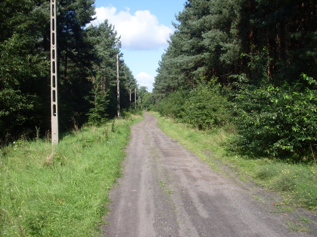 koscielna wies