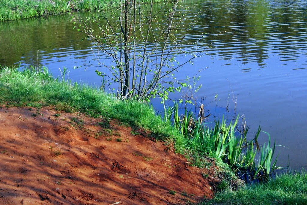 Kolorowy staw