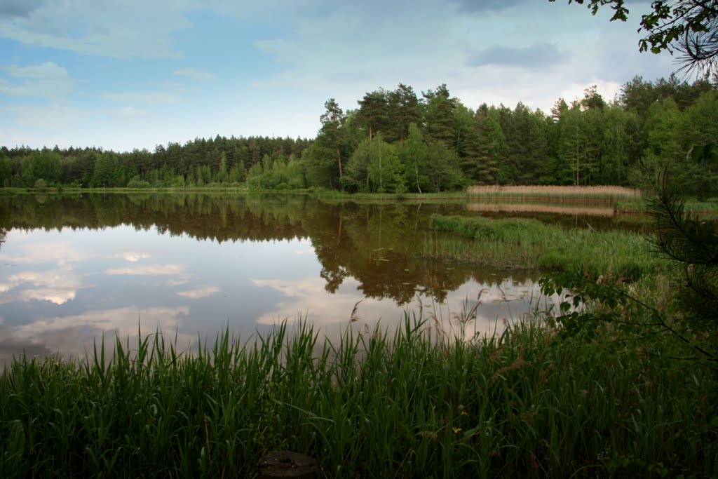 Zalew Klików
