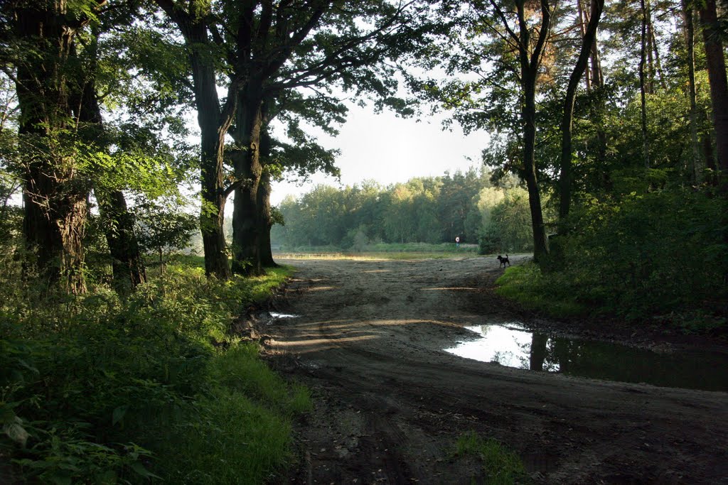Pierwszy dzień jesieni nad Zalewem Klików