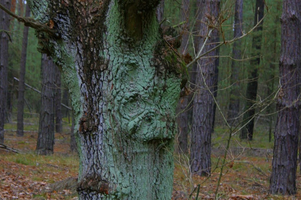 Maszkaron