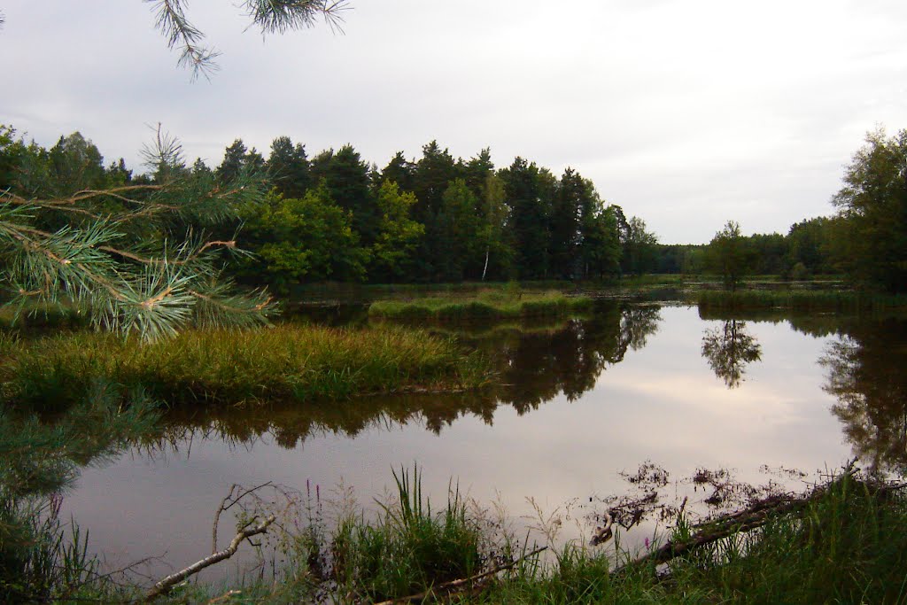 Zalew Klików