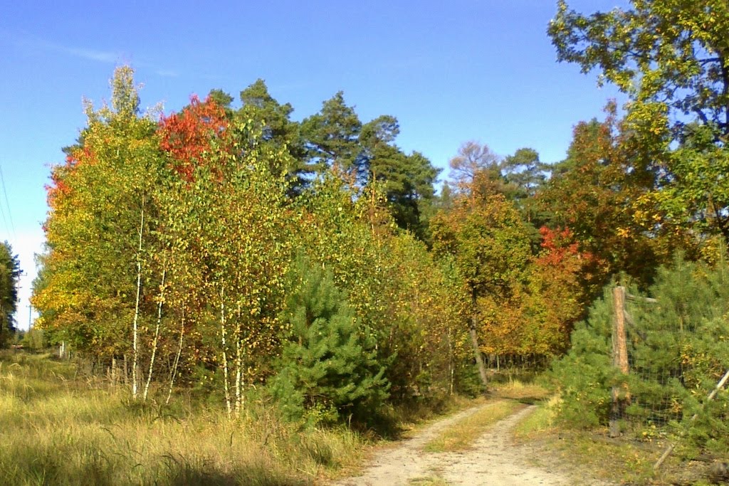 Jesień