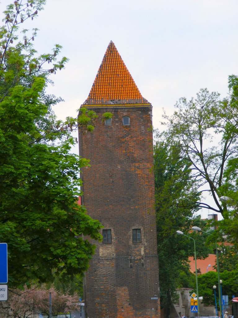 Legnica -Baszta-przy ul. Chojnowskiej