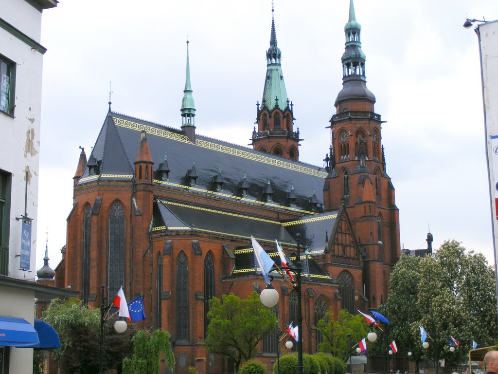 Legnica-Katedra