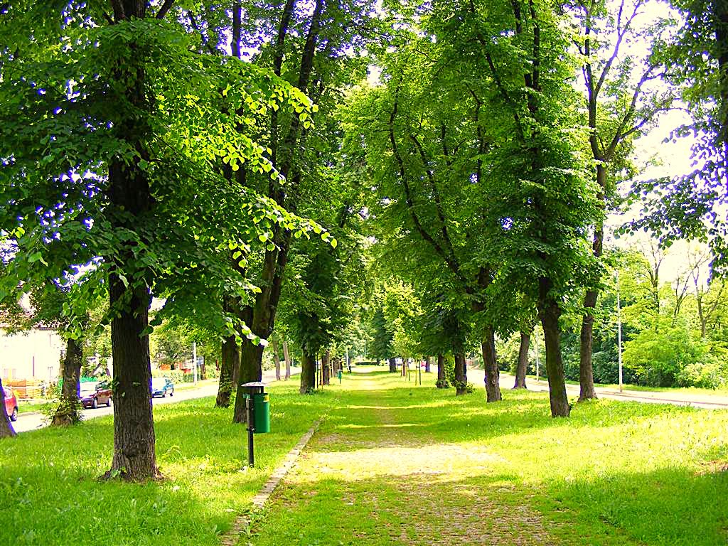 Legnica. Deptak przy ul. Grabskiego.Promenade Street. Grabski