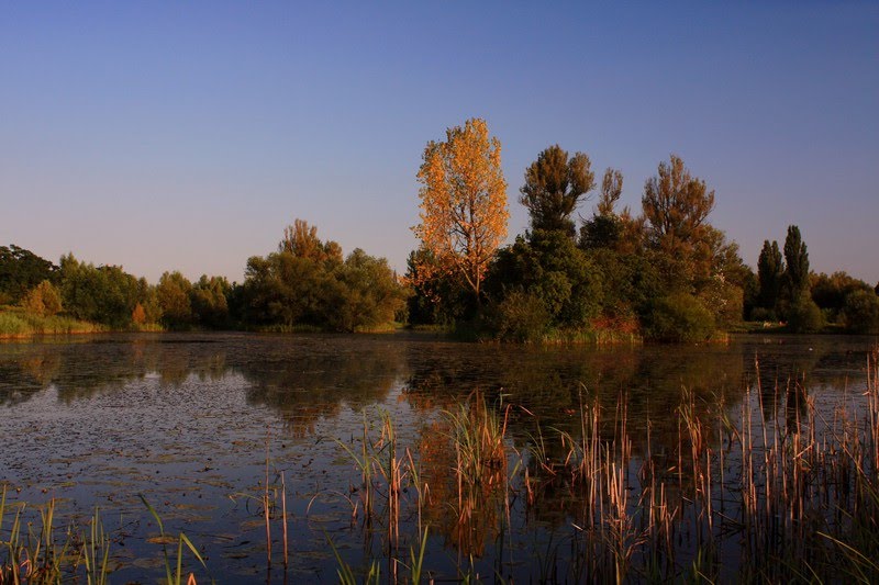 Legnica,  Kąpielisko Kormoran