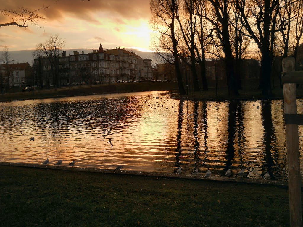 Zbliża się grudniowy wieczór nad Kozim Stawem