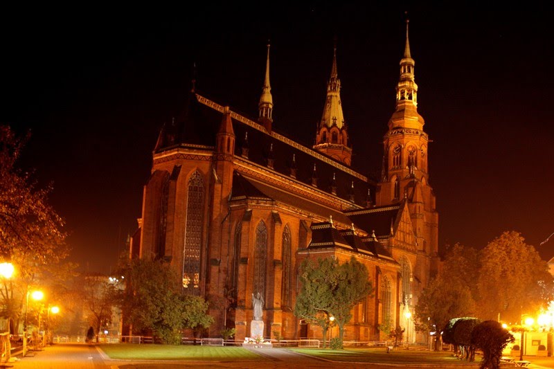 Katedra nocą