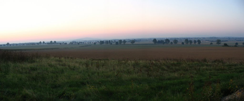 Widok na drogę nr 363 (Jawor - Wrocław)